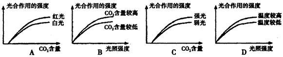 下面各图表示在适宜范围内不同环境因素与水稻叶片光合作用强度的关系