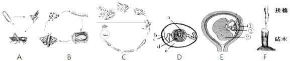 (1)a,b,c反映了动物的某种发育方式是__发育,其中图a是蝗虫的发育过程