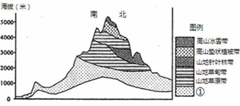 下图为青藏高原自然带与北半球自然带分布相关图示.