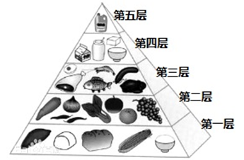 【推荐1】如图为中国居民的"平衡膳食宝塔",请据图回答问题