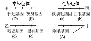 下列关于等位基因,非等位基因的说法正确的是( )