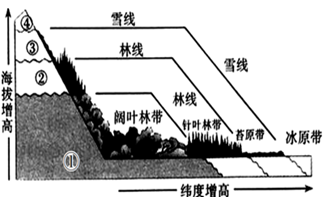 【推荐2】读"自然景观地域分异示意图",完成下列问题.