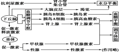 (1)饮水不足,食物过咸时,细胞外液渗透压升高,下丘脑渗透压感受器产生