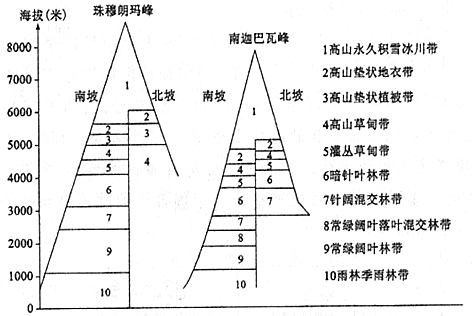 读珠穆朗玛峰南北两侧自然带与水热条件垂直变化示意图,据此完成下列