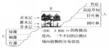 森林边缘和草原相邻的交错区是生物多样性极高的生态系统.