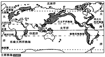 纽芬兰渔场曾经以"踏着水中鳕鱼群的脊背就可以走上岸