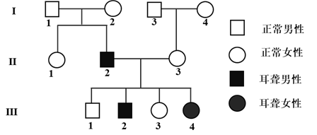 下图是某家族耳聋遗传病的系谱图,致病基因位于常染色体上,由一对等位