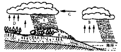 阅读水循环示意图并回答问题