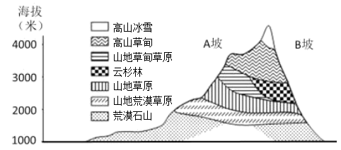 自然地理环境的整体性与差异性 自然地理环境的差异性 山地的垂直地域