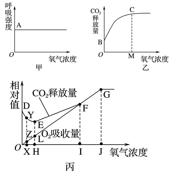 下图是玉米根部细胞在无氧和氧气充足时细胞呼吸生成二氧化碳的相对