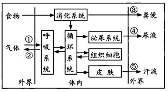 下图为正常成人排尿反射过程示意图,据图回答.