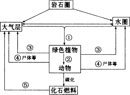 图1表示某生态系统碳循环的部分过程,图2是该生态系统