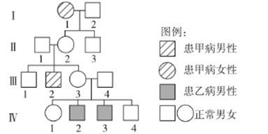 下图为甲乙两种遗传病其中一种为伴性遗传的某遗传