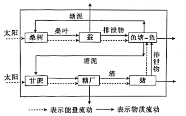 城市周边河流因生活污水引起污染某研究小组利用人工浮床技术对河流中