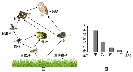 (1)图一有_____条食物链.