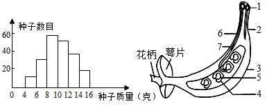 有人对园博愿内的郁金香进行了调查,结果如下表