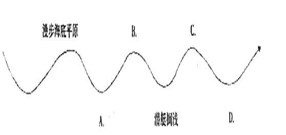 尼摩船长,我(阿龙纳斯教授),我的助手康塞尔,加拿大人尼德兰在海底