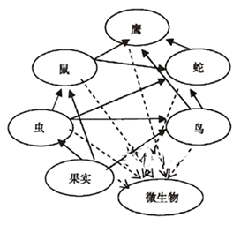 生态系统及其稳定性 生态系统的结构和生物圈 生态系统的组成成分