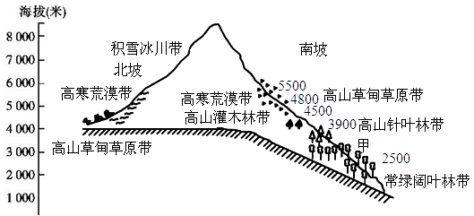 读武夷山垂直自然带分布图,完成下列各题.