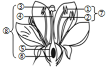 【推荐2】如图是花的结构示意图,据图回答