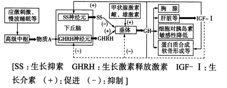 激素种类和功能【推荐2】下图是生长激素(gh)分泌调节及作用机制图解