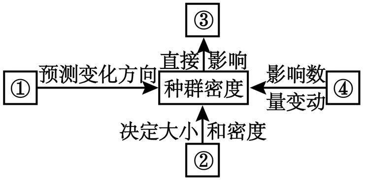 【推荐1】如图表示种群特征之间的关系,图中序号代表的特征对应正确的