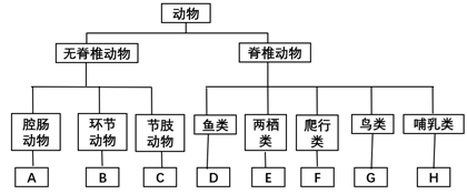 【推荐3】根据下列动物类群的特征,请将"鲫鱼,蚯蚓,海蜇,青蛙,乌龟