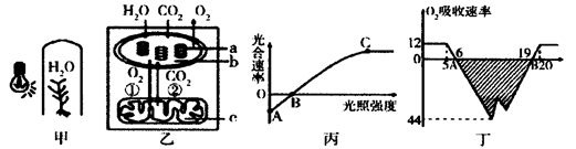 【推荐2】下图甲为研究光照强度对某植物光合作用强度影响实验示意图