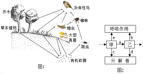 【推荐2】图1是某生态系统生物关系示意图.回答下列问题