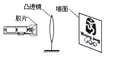 初中物理综合库 光学 透镜及其应用 凸透镜的成像规律 凸透镜成像规律