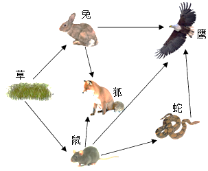 【推荐1】如图为某生态系统中的食物网,根据图回答有关问题.