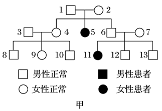 高中生物综合库 遗传与进化 遗传的基本规律 性别决定和伴性遗传 伴性