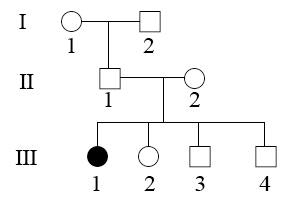 b表示)和进行性肌营养不良症(相关基因用d,d表示)的遗传系谱图,其中Ⅱ