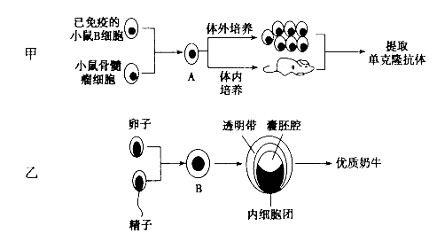 (1)與誘導植物原生質體融合相比,誘導小鼠b細胞和骨髓瘤細胞形成細胞a