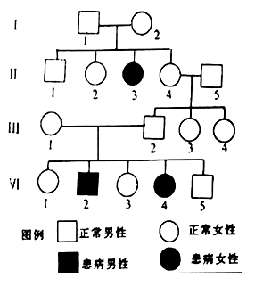 双眼皮遗传系谱图图片