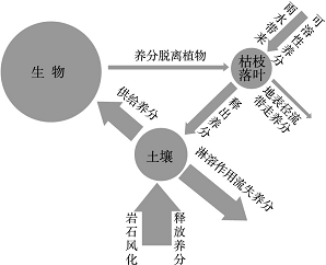 城市绿化建设是一项重要的民生工程.图1为某城市绿地系统规划示意图.
