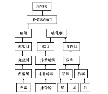 如图是部分哺乳动物分类图示请据图回答问题