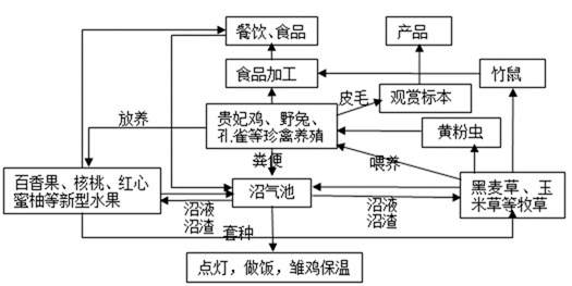 发展 协调人地关系的主要途径【小题1】该产业链体现了可持续发展的