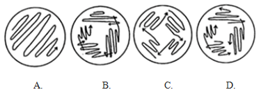 中央电视台《舌尖上的中国》栏目介绍了我国各地的美