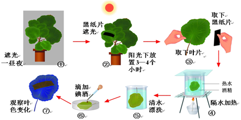 為了指導農業生產,某實驗小組對植物的光合作用進行了探究,設計如下