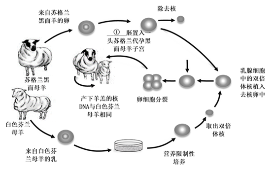 (一)回答与桑椹汁,桑椹酒和桑椹醋生产有关的问题