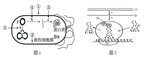 在实验室里对两组数量相同的螺旋蛆蝇进行不同的处理:一组使用杀虫剂
