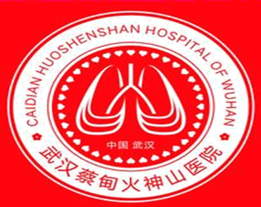 火神山医院徽标图片
