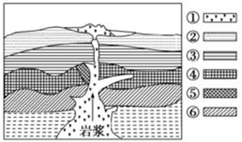 高中地理地层结构图图片
