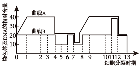 生物的細胞內染色體及dna相對數量變化的曲線圖據此回答下面的問題