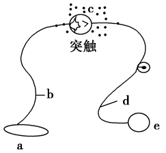 缩手反射弧图片