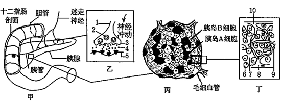 請回答下列問題