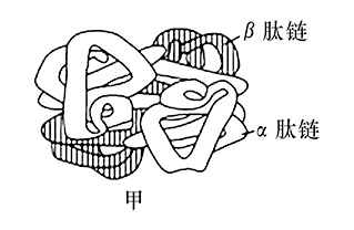肉毒梭菌厌氧性梭状芽孢杆菌是致死性最高的病原体之一肉毒梭菌的致病