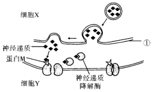 说明: figure