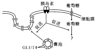 说明: figure